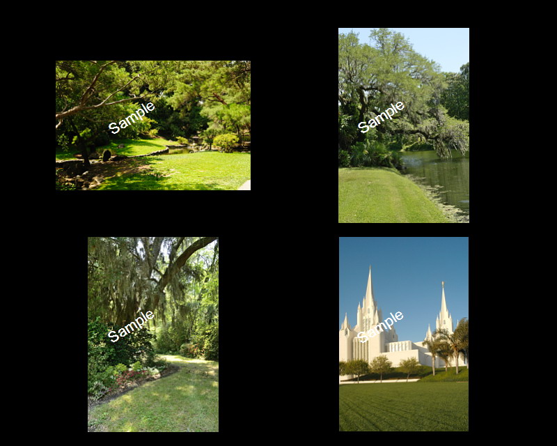 Wedding Backgrounds