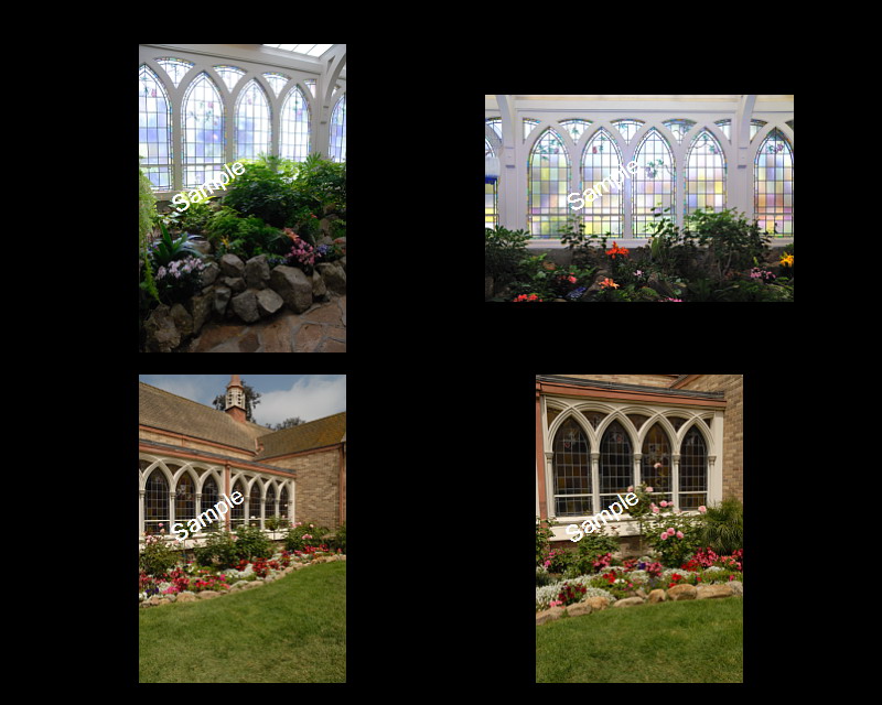 Wedding Backgrounds