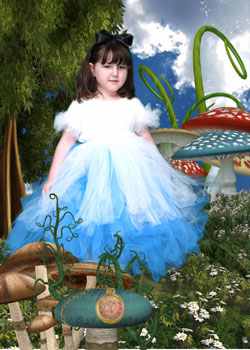 Greeting Cards
