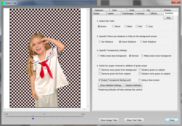 free downloads Green Screen Wizard Professional 12.2